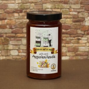 ΜΕΛΙ ΑΠΟ ΑΓΡΙΟΛΟΥΛΟΥΔΑ